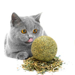 Natural Catnip Treat Ball