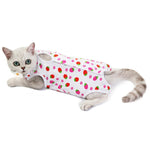 Female Cat Diaper