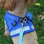 Adjustable Mesh Harness Vest