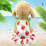 Puppy Dress Couple Outfit Summer