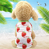 Puppy Dress Couple Outfit Summer