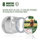 Dewel Flea and Tick 8 Months collar