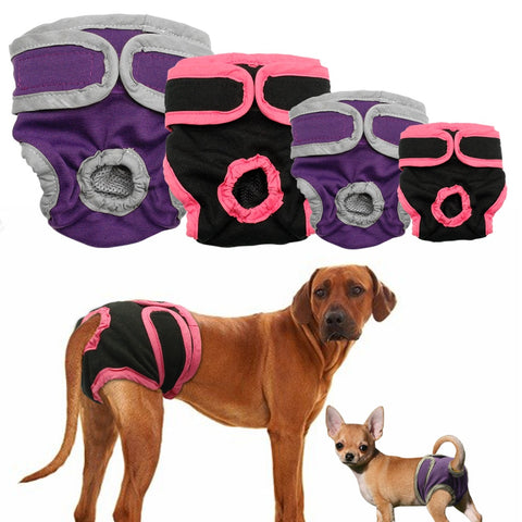 Female Dog Underwear