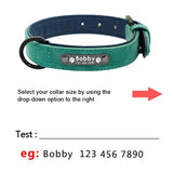 Personalized Leather Dog Collar Leash