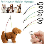 New Standing Training No-Sit Pet Haunch Holder