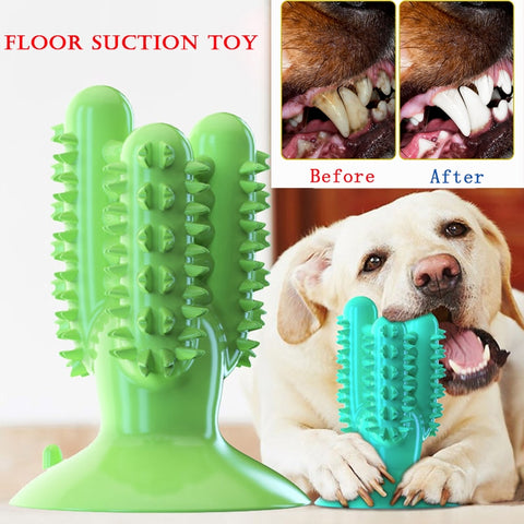 NEW Dog Toothbrush Toys