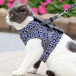 Harness Leash Set