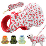 Printed Chihuahua Harness Leash Set