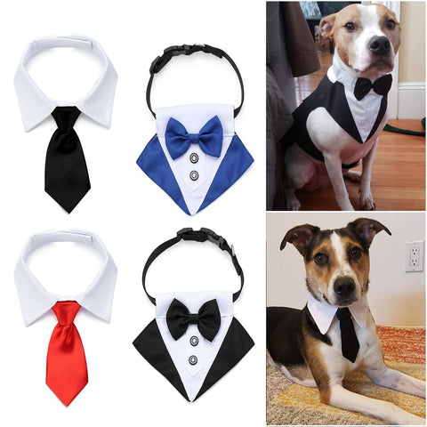 Dog Necktie