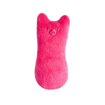 Teeth Grinding Catnip Toys