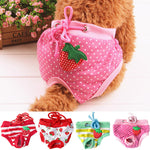 Female Dog Sanitary Short Panty