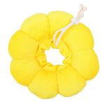 Sun Flower Pet Collar