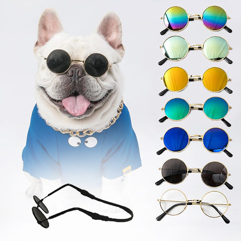 Pet Sunglasses Harness Accessory