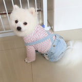 Denim Jeans For Small Medium Dogs