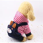 Dog Cute Bear Clothes