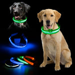 Adjustable Glowing LED Dog Collar