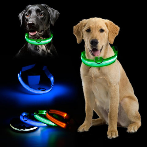 Adjustable Glowing LED Dog Collar